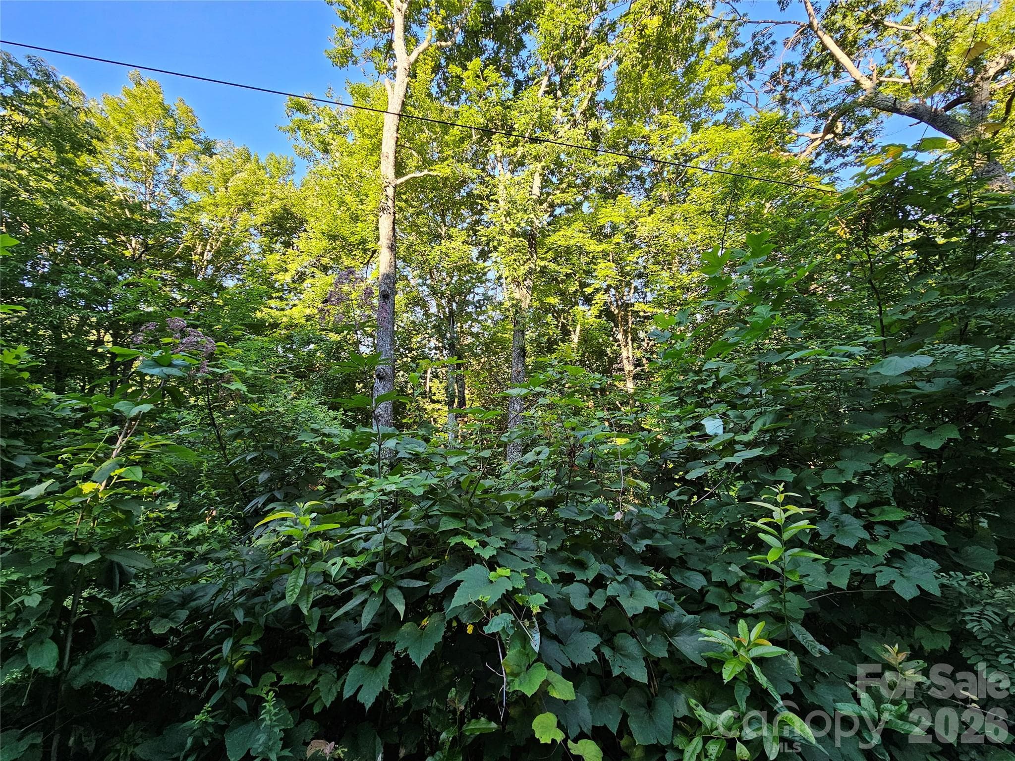 WOODED LOT - 102 Big Ridge Road, Burnsville