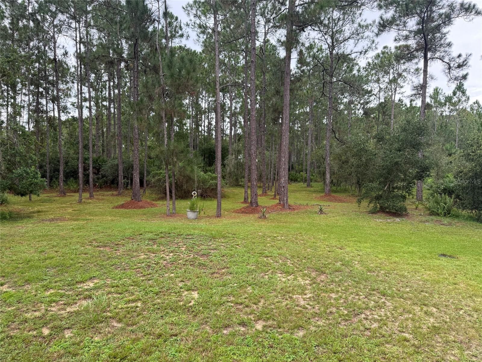Manufactured Home at 1161 LAKE HARNEY WOODS BLVD, MIMS, photo 33 of 35