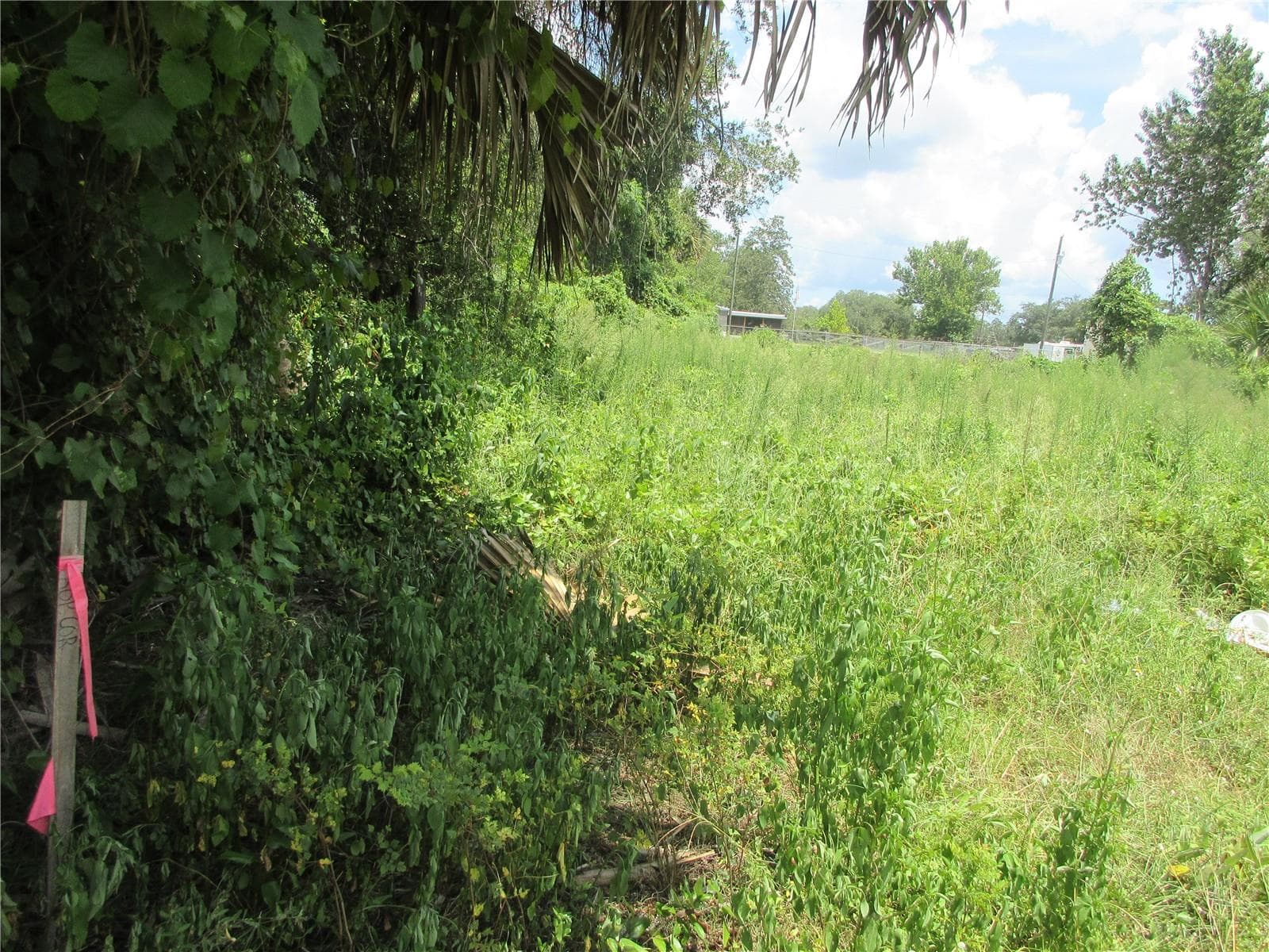 Land at TBD SE 18TH ST, SILVER SPRINGS, photo 3 of 30