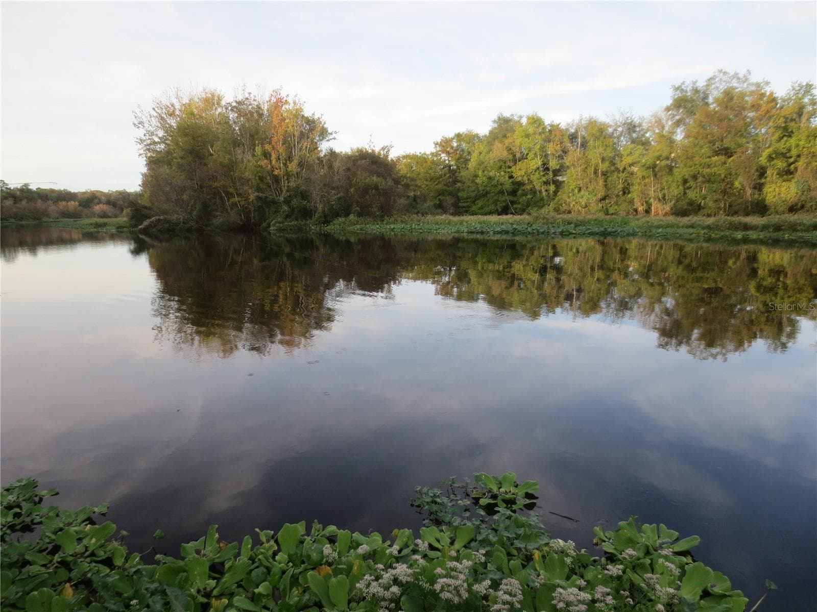 Ocala National Forest Activity - TBD SE 18TH ST, SILVER SPRINGS