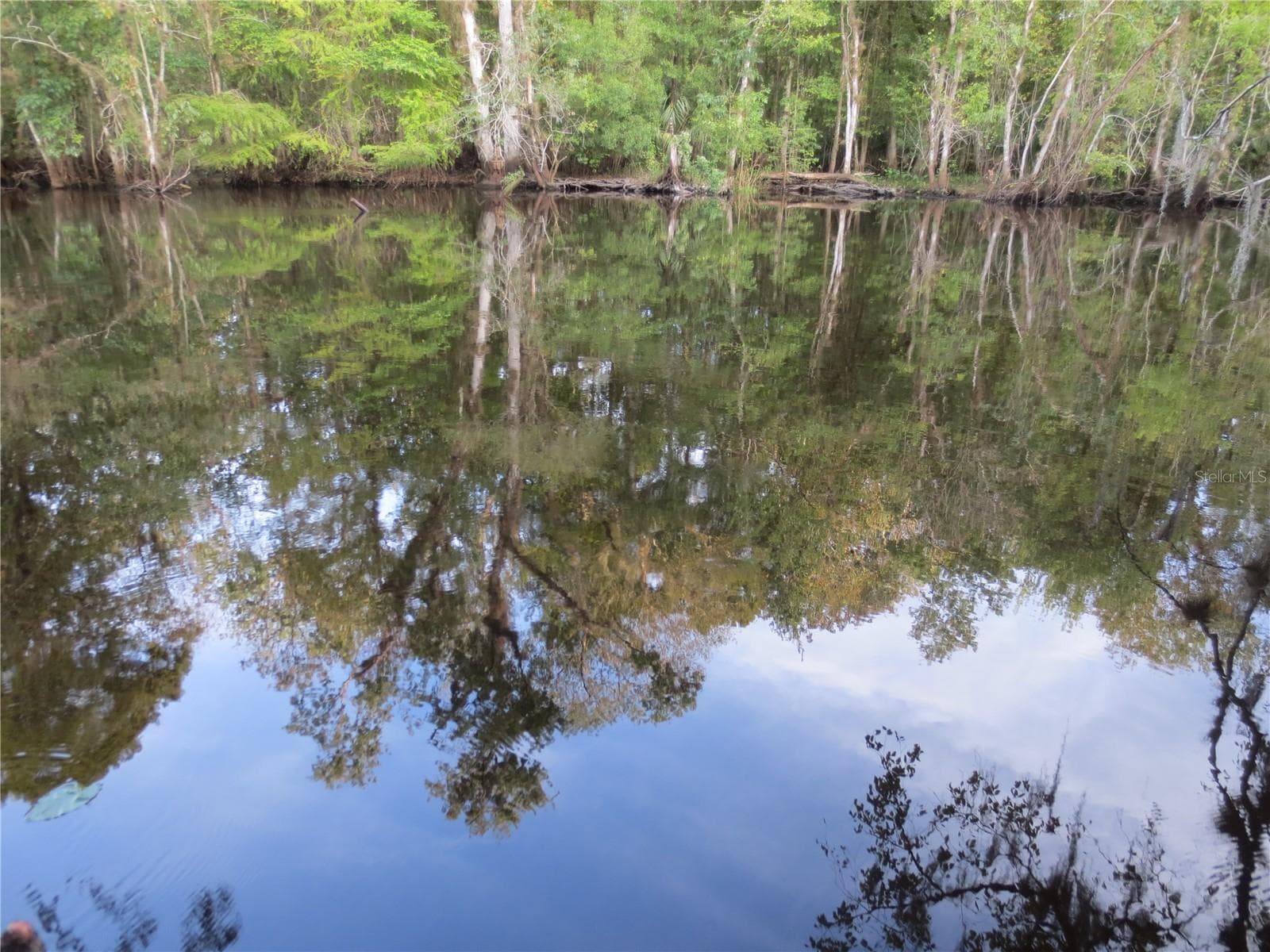 Ocala National Forest Activity - TBD SE 18TH ST, SILVER SPRINGS