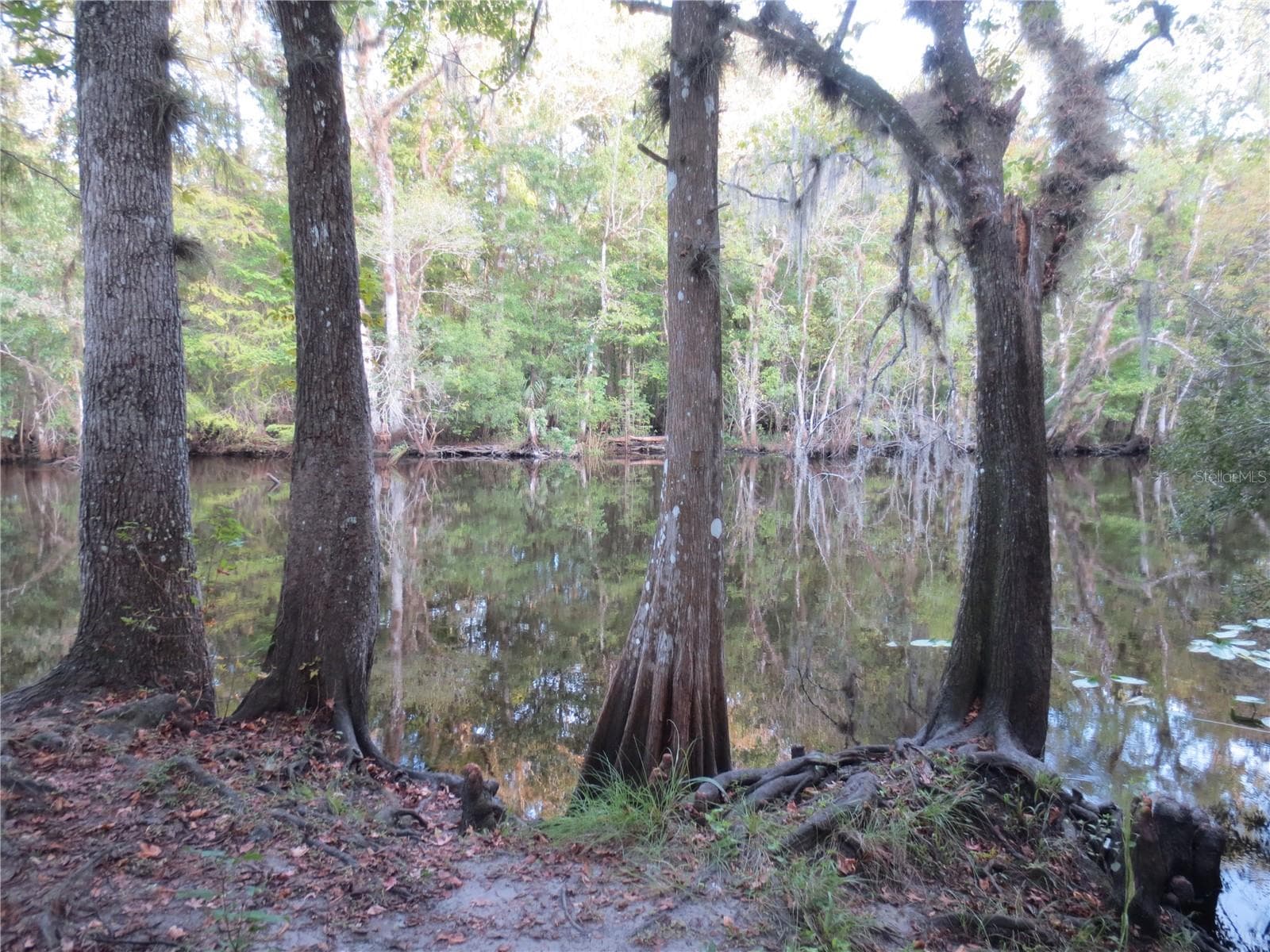 Ocala National Forest Activity - TBD SE 18TH ST, SILVER SPRINGS