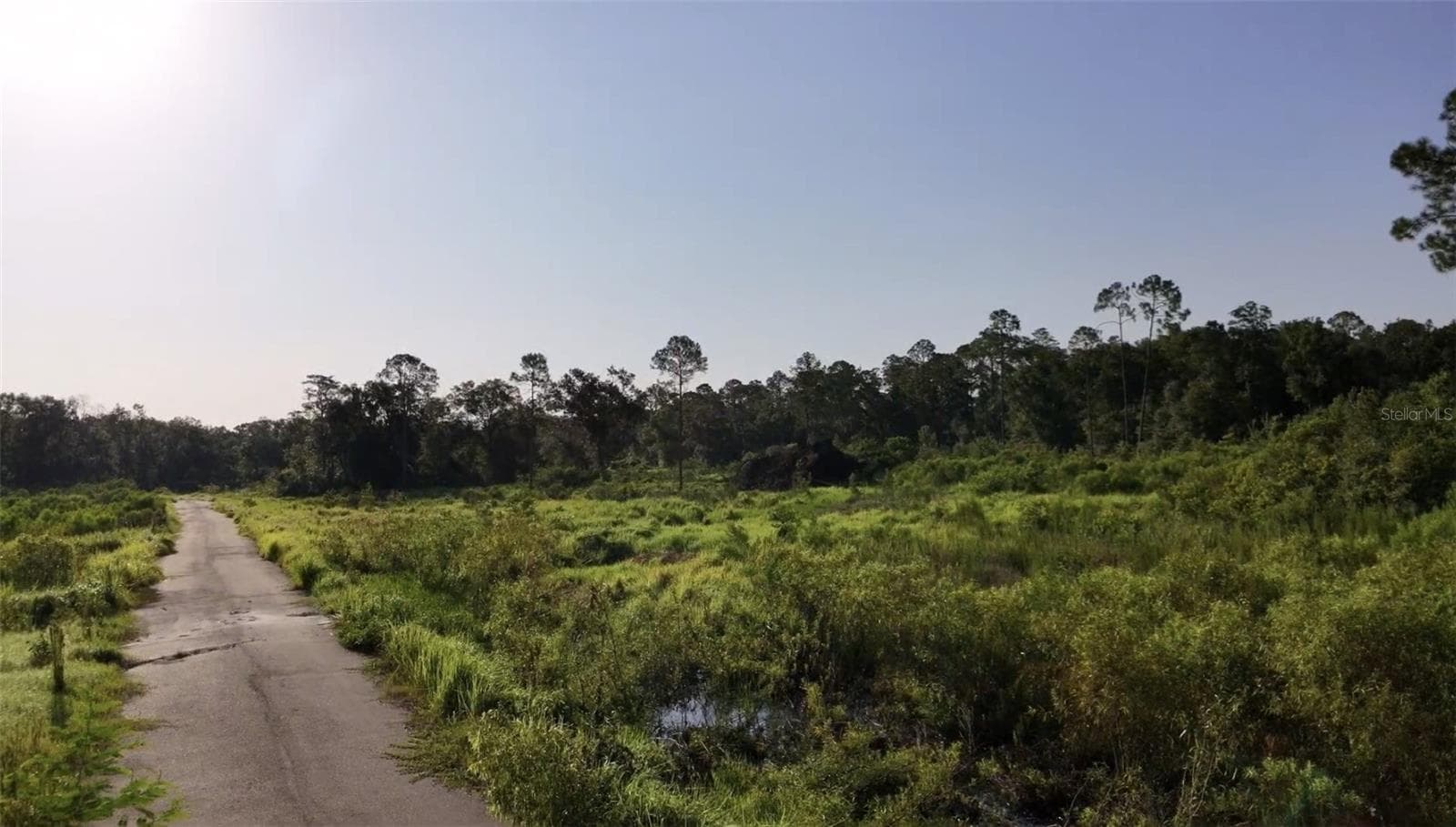 Land at AVONWOOD, TAMPA, photo 5 of 15