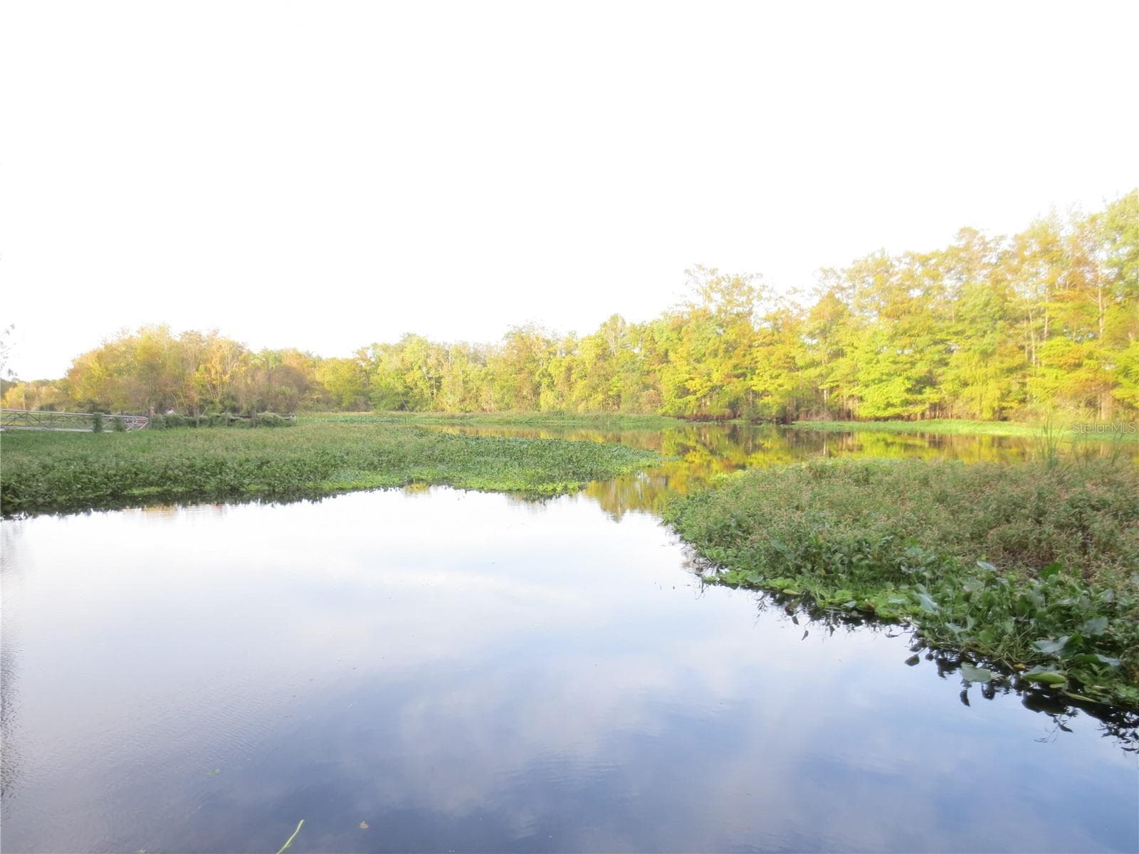 Ocala National Forest Activity - TBD SE 19TH ST, SILVER SPRINGS