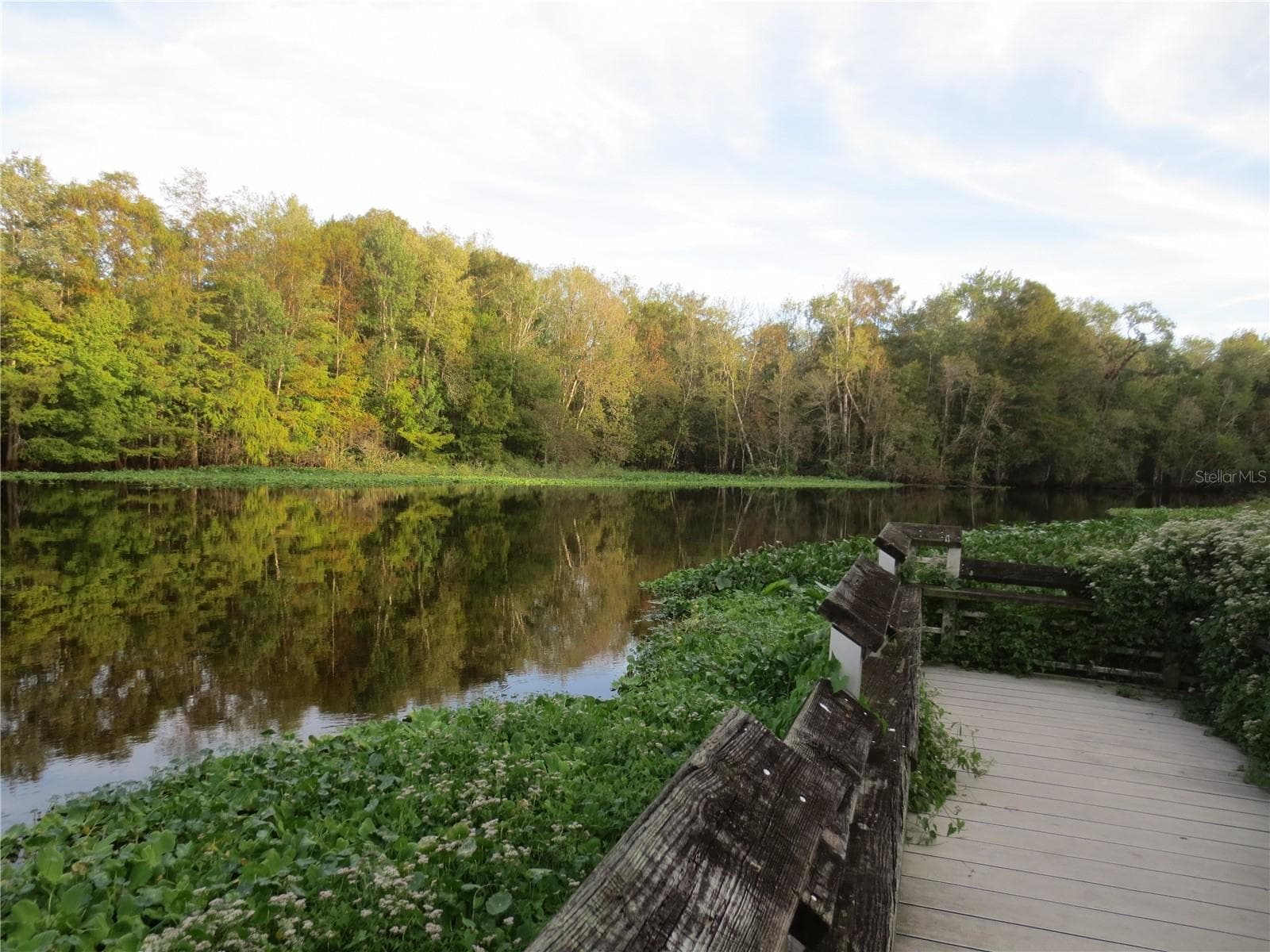 Ocala National Forest Activity - TBD SE 19TH ST, SILVER SPRINGS