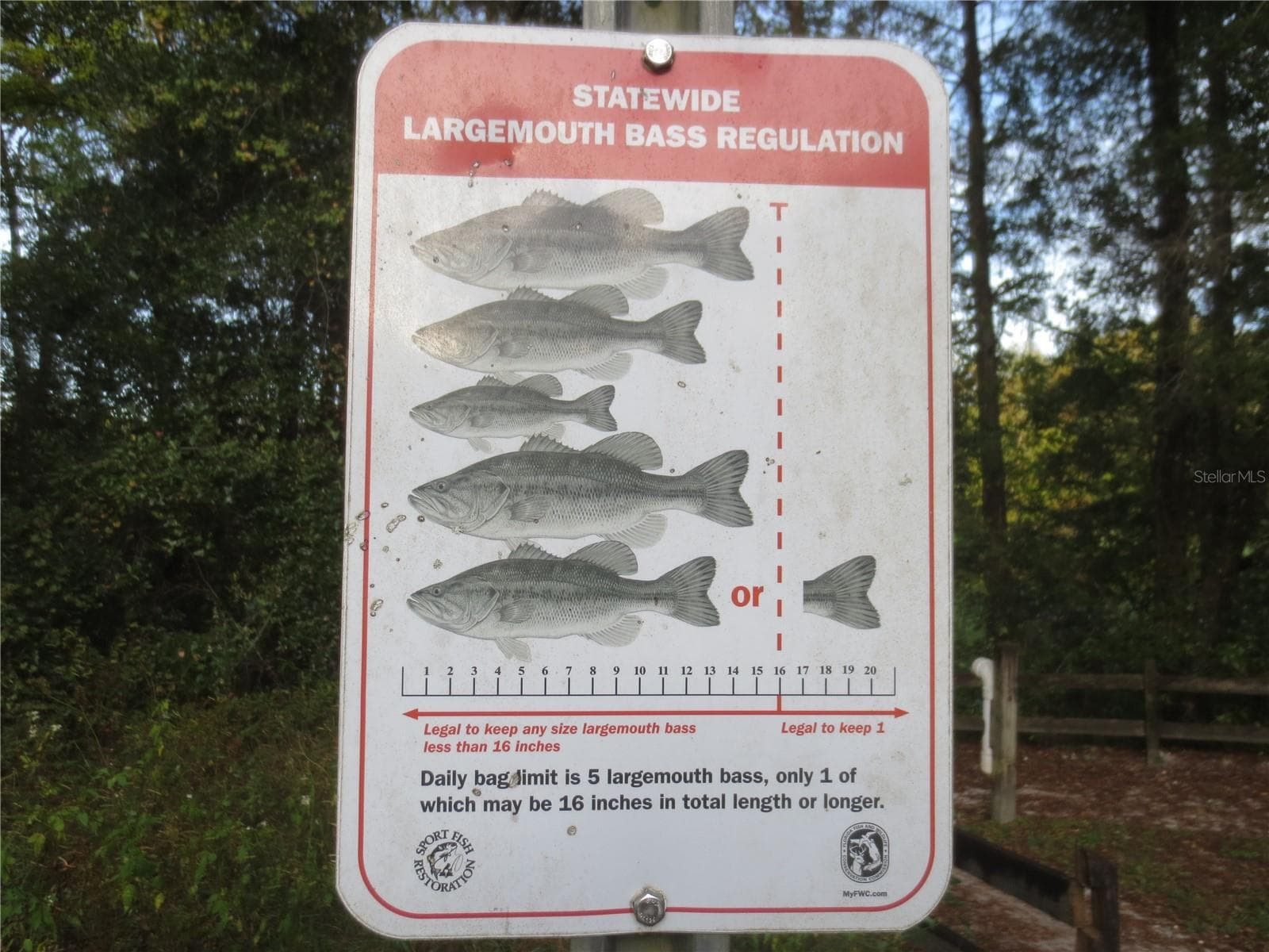 Ocala National Forest Activity - TBD SE 19TH ST, SILVER SPRINGS
