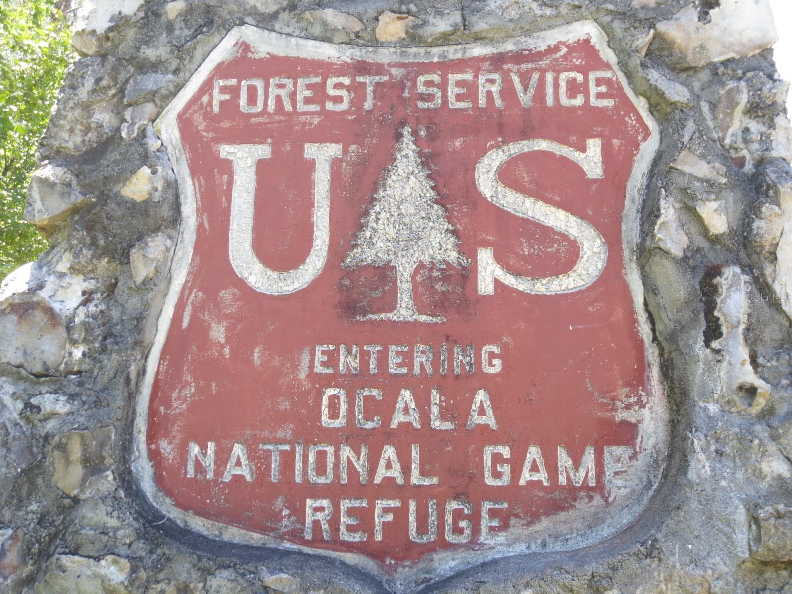 Ocala National Forest Activity - TBD SE 19TH ST, SILVER SPRINGS