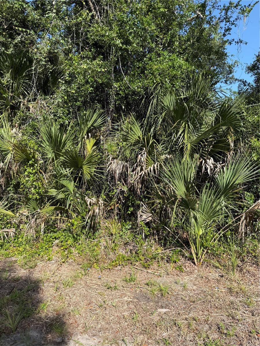 Land at 1137 WELDON TER, PORT CHARLOTTE, photo 13 of 13