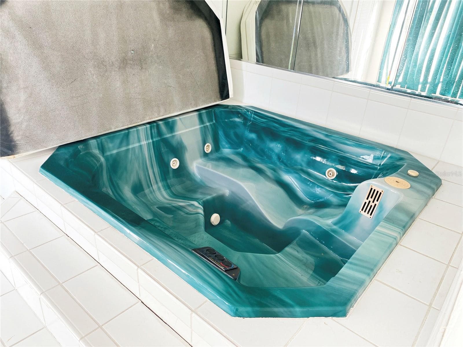 4 PERSON HOT TUB/JACUZZI IN PRINCIPAL BATHROOM. - 936 ALLEGRO LN, APOLLO BEACH