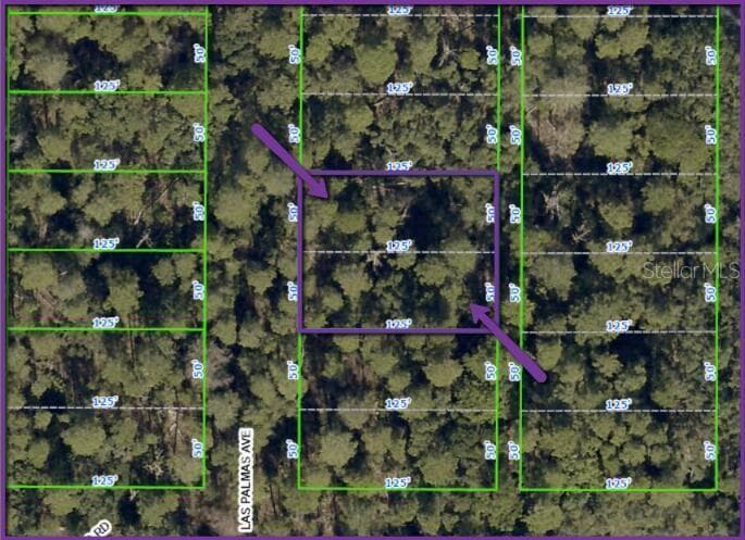 Land at 0 LAS PALMAS AVE #lot 11 & 12, SPRING HILL, photo 4 of 5