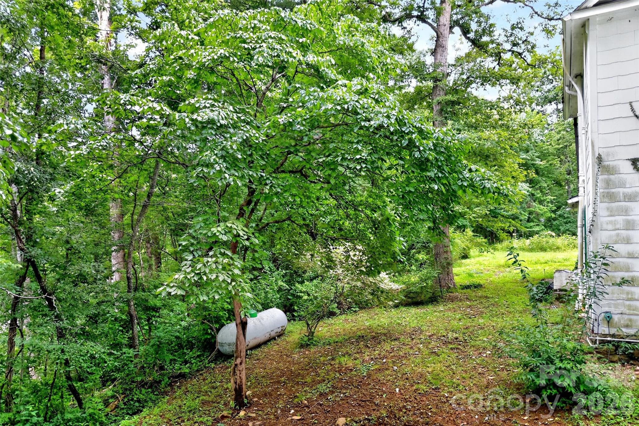 Single Family Residence at 22 Woodbend Lane, Black Mountain, photo 44 of 48