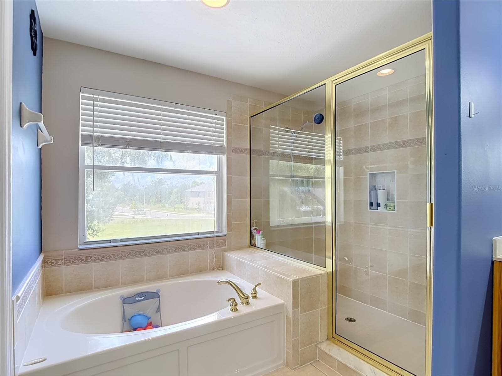 Single Family Residence at 4129 TARKINGTON DR, LAND O LAKES, photo 37 of 62