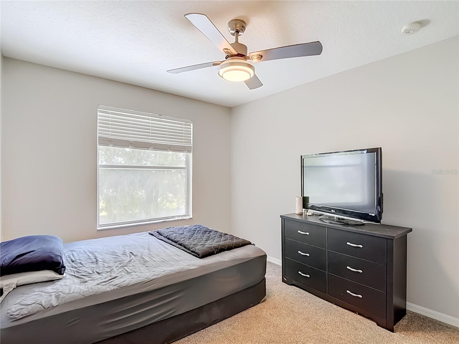 Single Family Residence at 4129 TARKINGTON DR, LAND O LAKES, photo 47 of 62