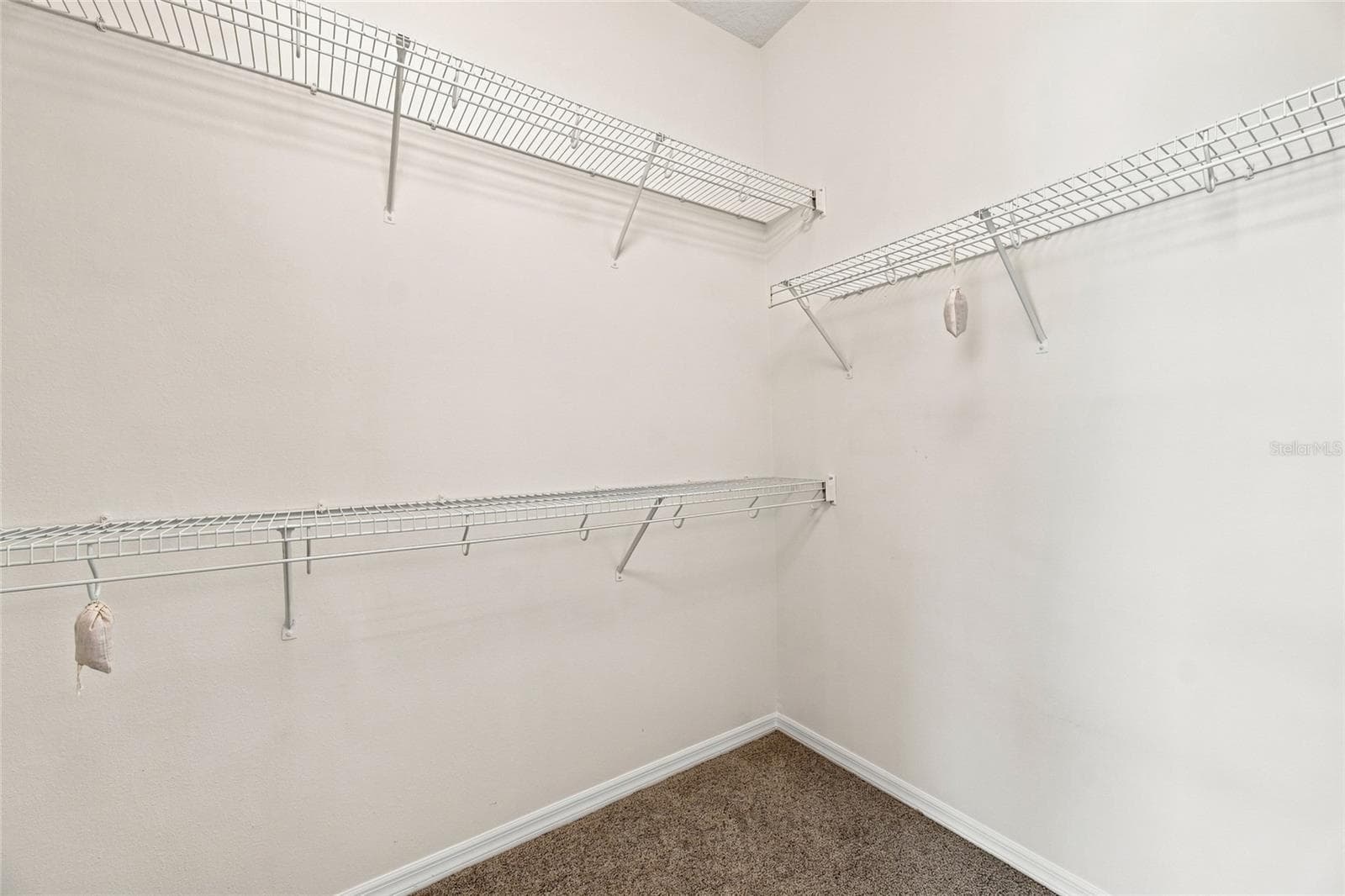 Master Closet - 10008 CANOPY TREE CT, ORLANDO