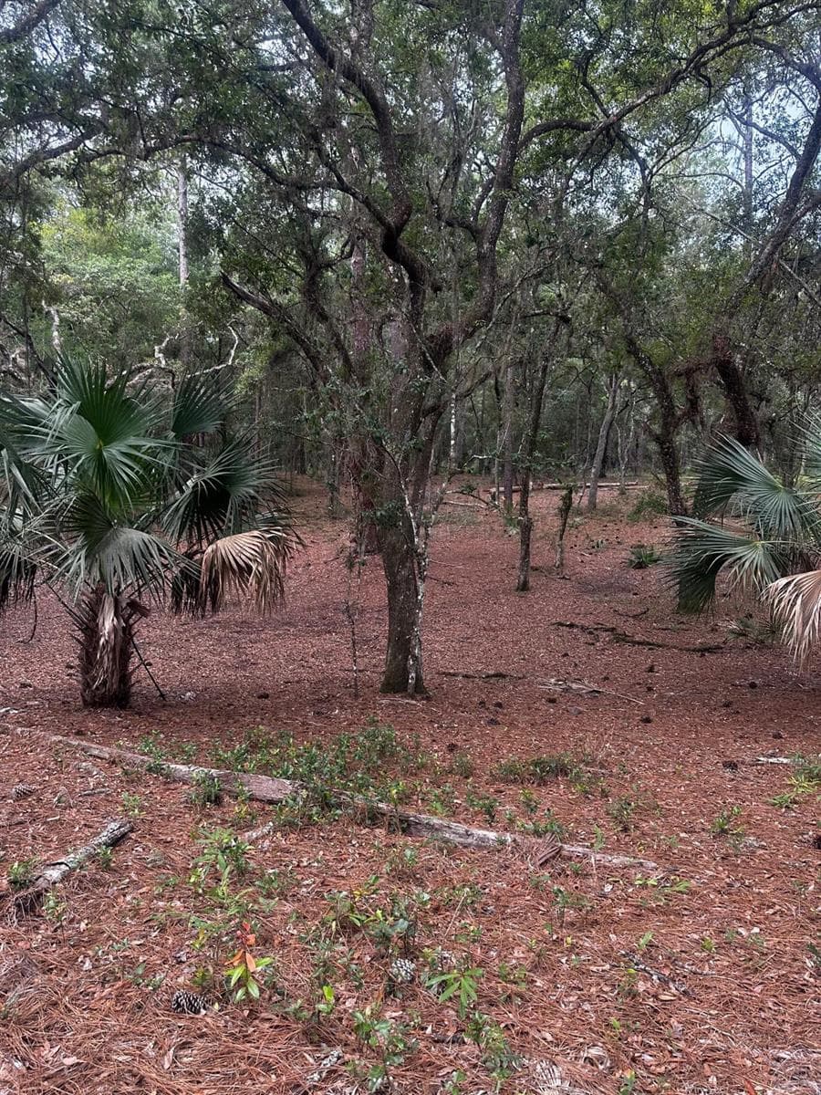 Land at Lot 1 NE 127TH ST, FORT MC COY, photo 4 of 13