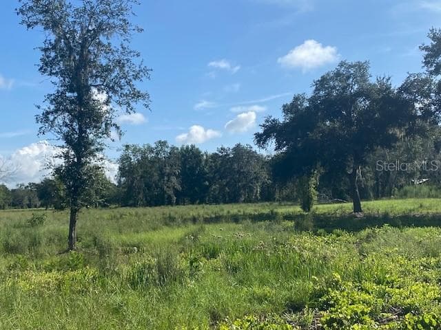 Land at 5840 BOB SMITH AVE, PLANT CITY, photo 2 of 4