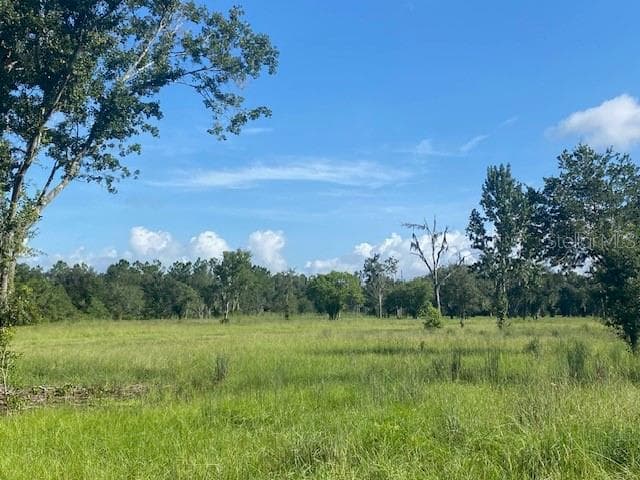 Land at 5840 BOB SMITH AVE, PLANT CITY, photo 3 of 4