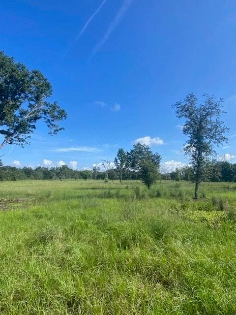 Land at 5840 BOB SMITH AVE, PLANT CITY, photo 4 of 4