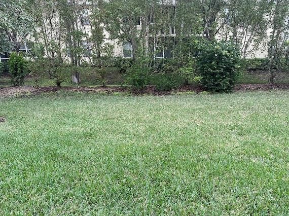 Backyard - 4266 DUTCHESS PARK RD, FORT MYERS