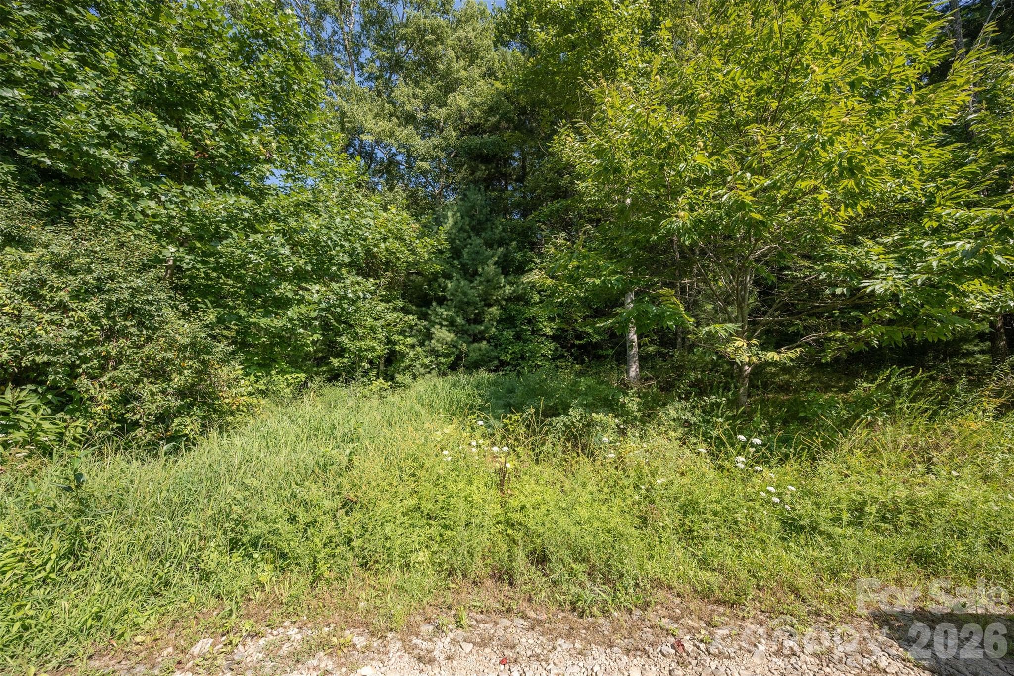 Acreage at TBD Whitewater Road, Sapphire, photo 10 of 12