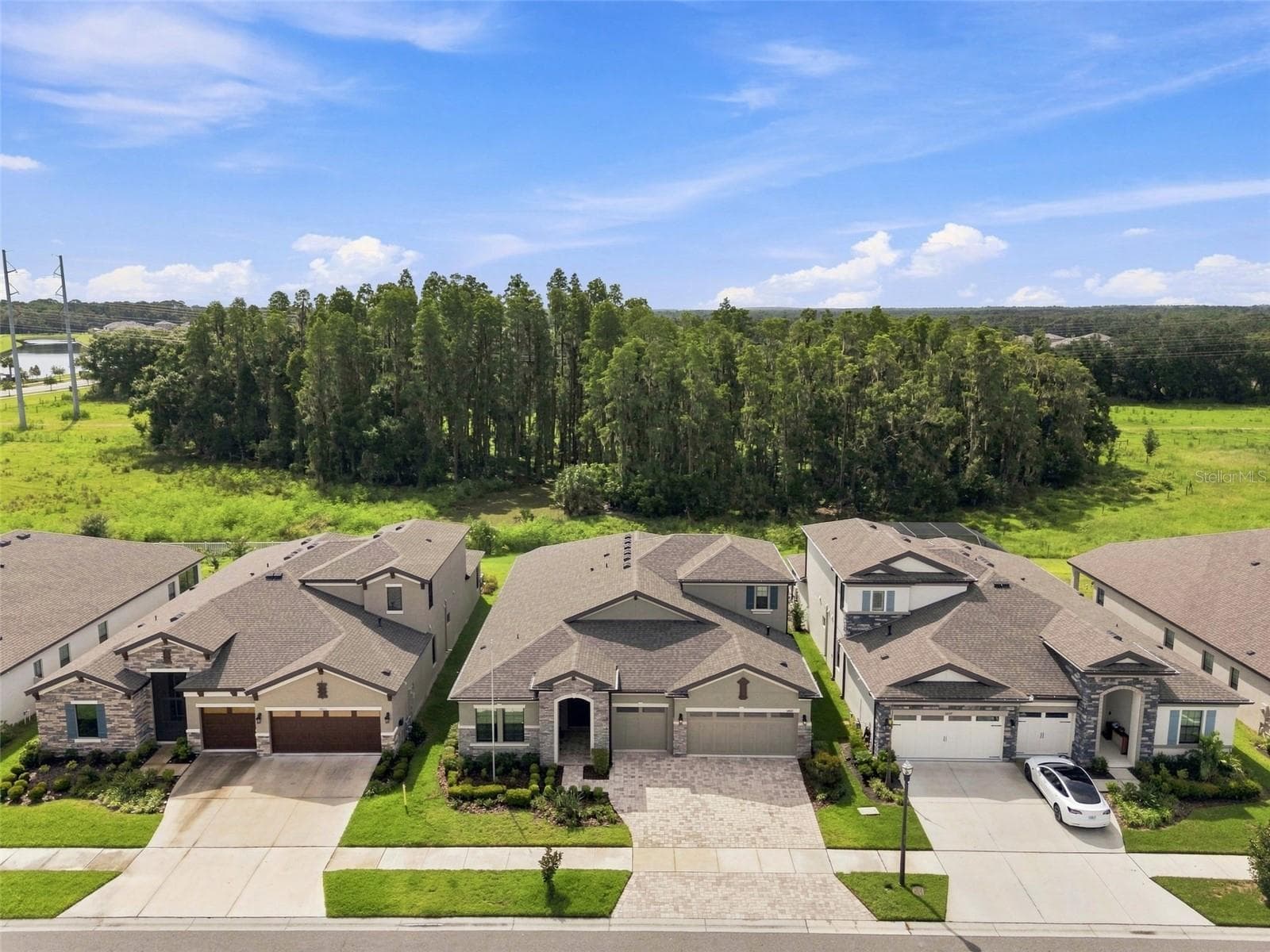 Single Family Residence at 14519 WOODLAND SPUR DR, LITHIA, photo 47 of 54