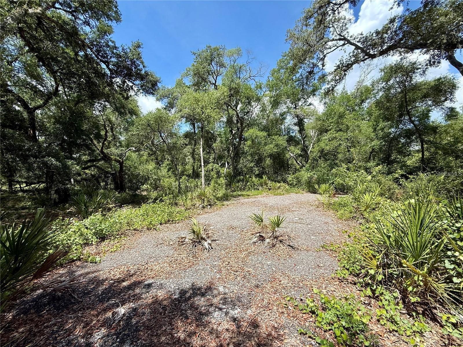 Land at Lot 10 LONG CIR, WEBSTER, photo 3 of 7