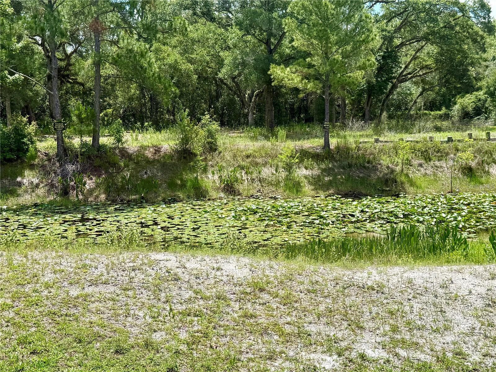 Land at Lot 10 LONG CIR, WEBSTER, photo 7 of 7