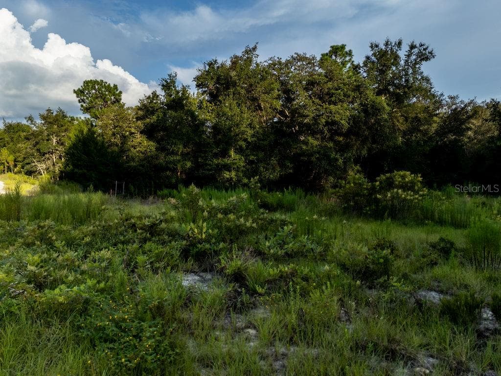 Land at TBD NE 50TH LN, WILLISTON, photo 4 of 16
