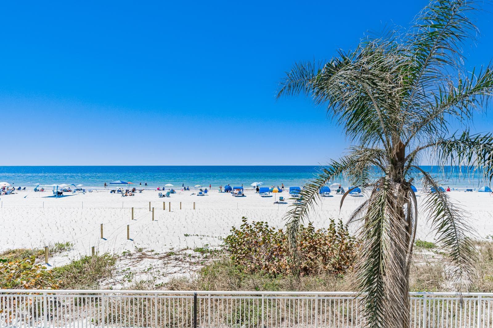 Condominium at 19440 GULF BLVD #105, INDIAN SHORES, photo 32 of 32