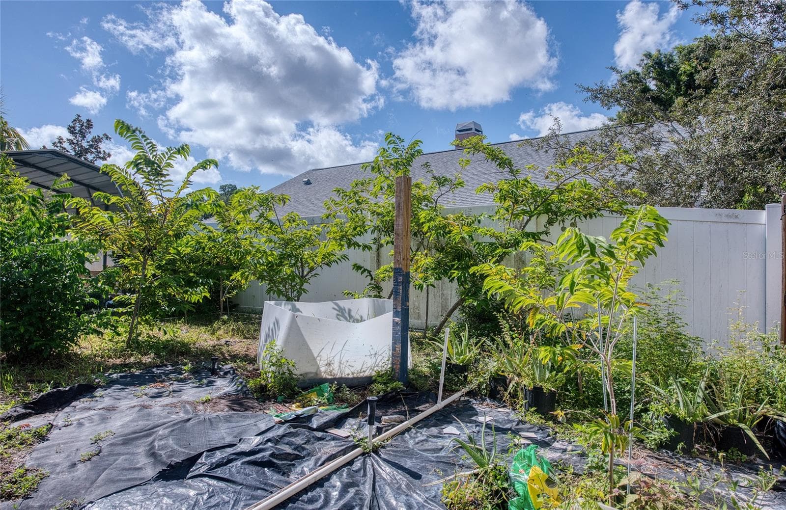 Backyard. (2) - 1150 OAKWOOD DR, DUNEDIN