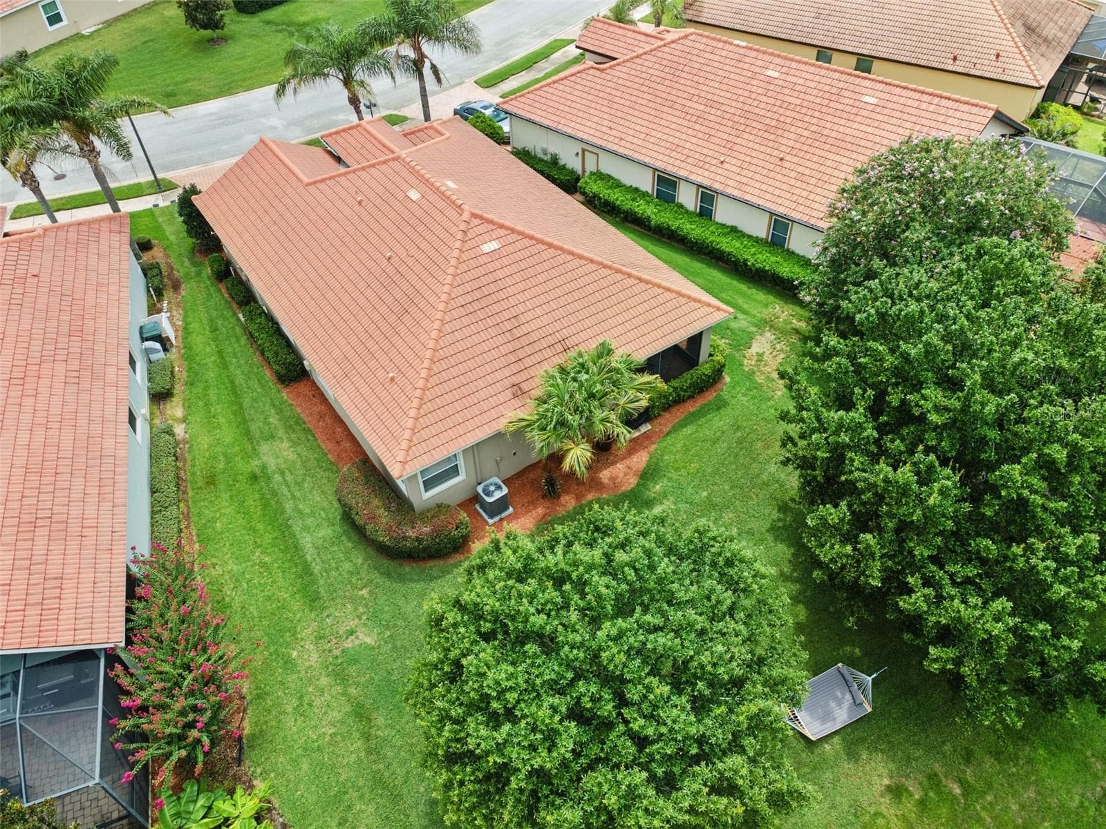 Mature Landscaping - 1742 ALTAVISTA CIRCLE CIR, LAKELAND