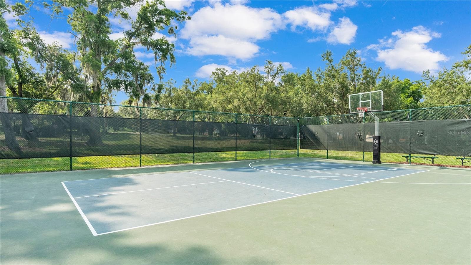 Basketball - 1742 ALTAVISTA CIRCLE CIR, LAKELAND