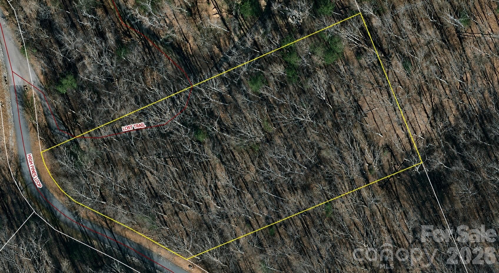 Lot at Lot 114 High Pines Loop, Lake Lure, photo 6 of 26