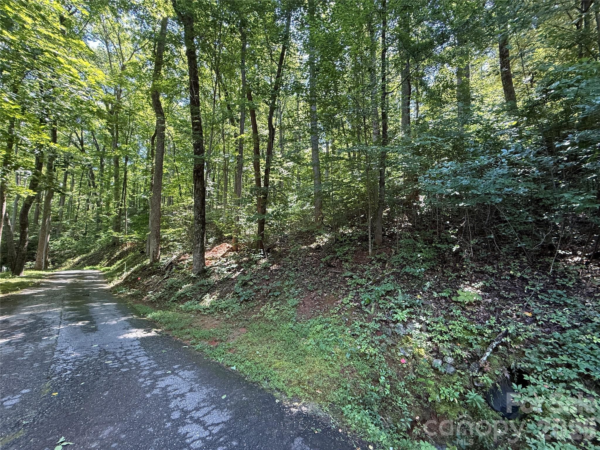 Lot 114 High Pines Loop. Vista At Bills Mountain - Lot 114 High Pines Loop, Lake Lure