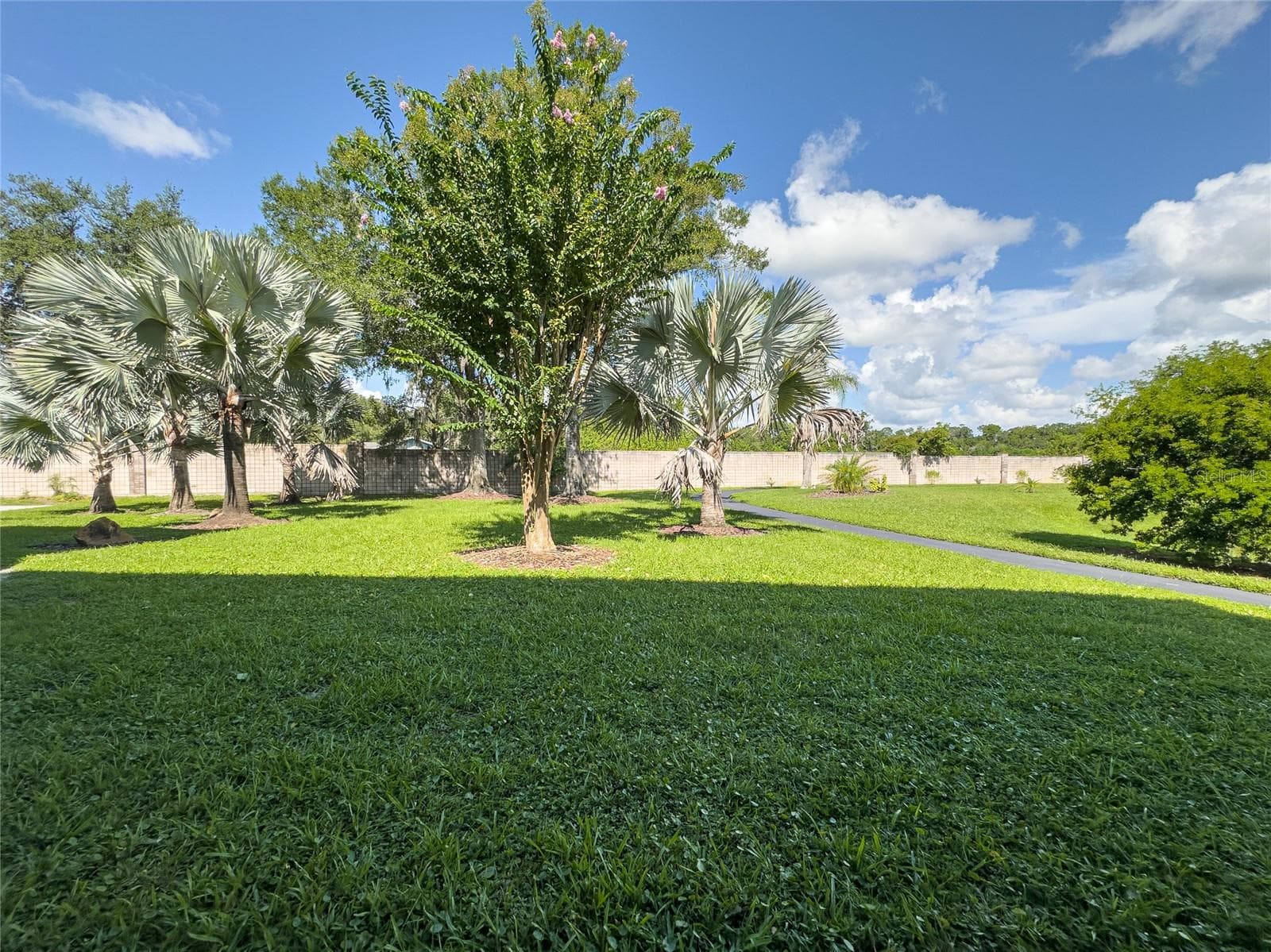 Condominium at 6815 DALI AVE #101, LAND O LAKES, photo 45 of 45