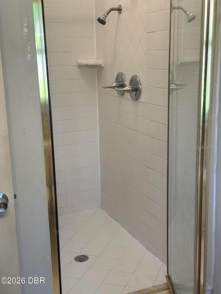 Master Bathroom Shower - 31109 DEAL DR, MOUNT PLYMOUTH