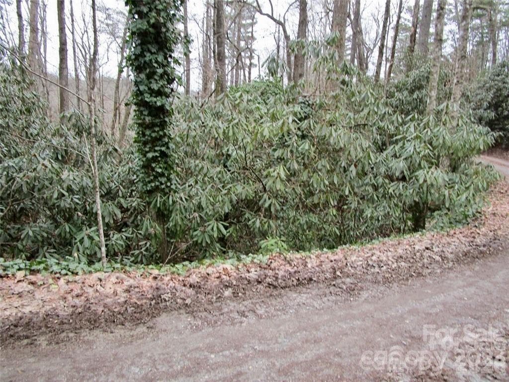 Lot at Lot #21 Toxaway Falls Drive, Lake Toxaway, photo 2 of 26