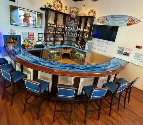 Private Bar - 4728 BEACH #C, ST PETERSBURG