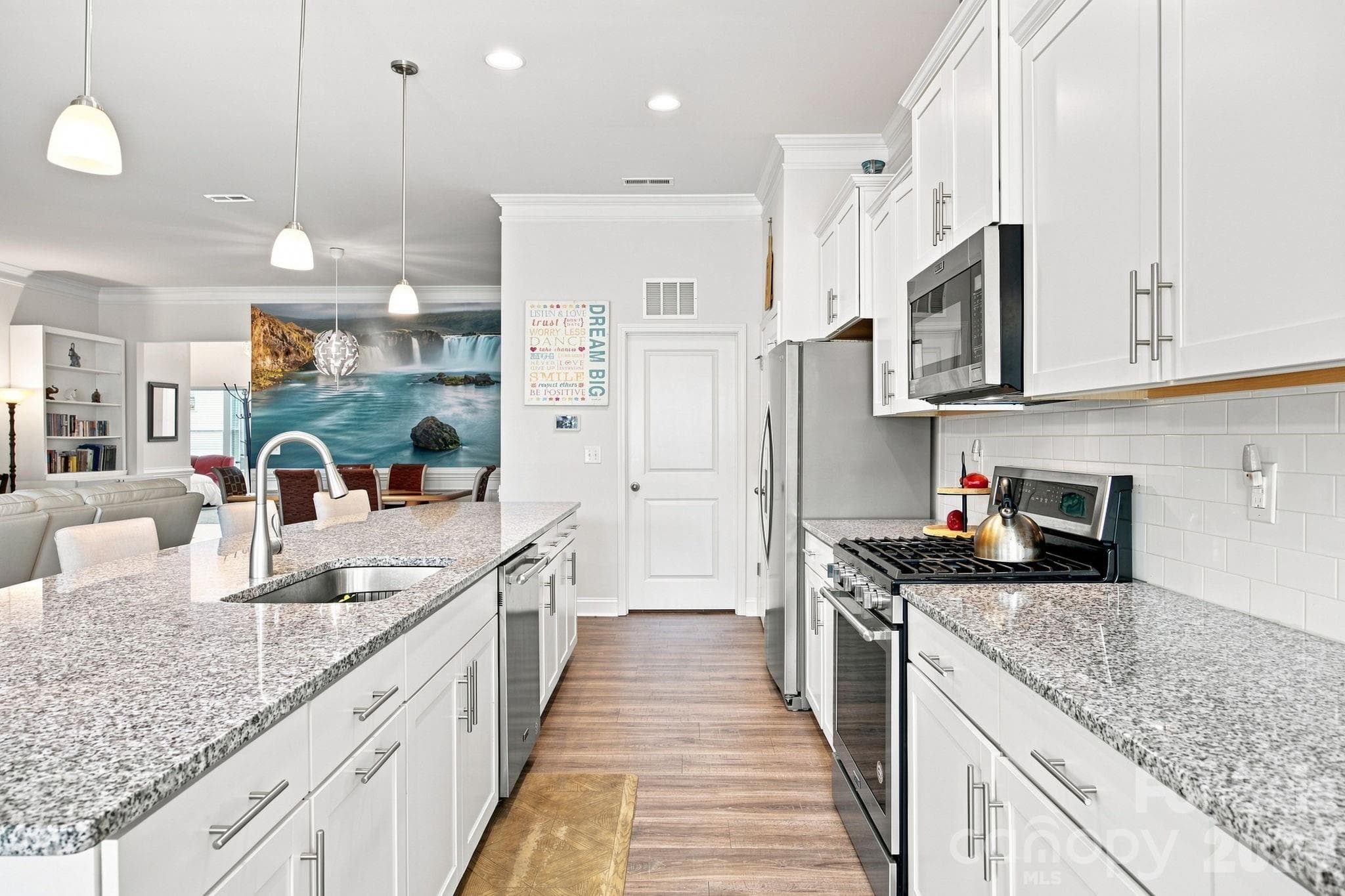 Single Family Residence at 354 Secretariat Drive, Iron Station, photo 6 of 25
