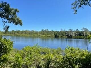 Land at VISTA ST, LAKE HELEN, photo 3 of 24