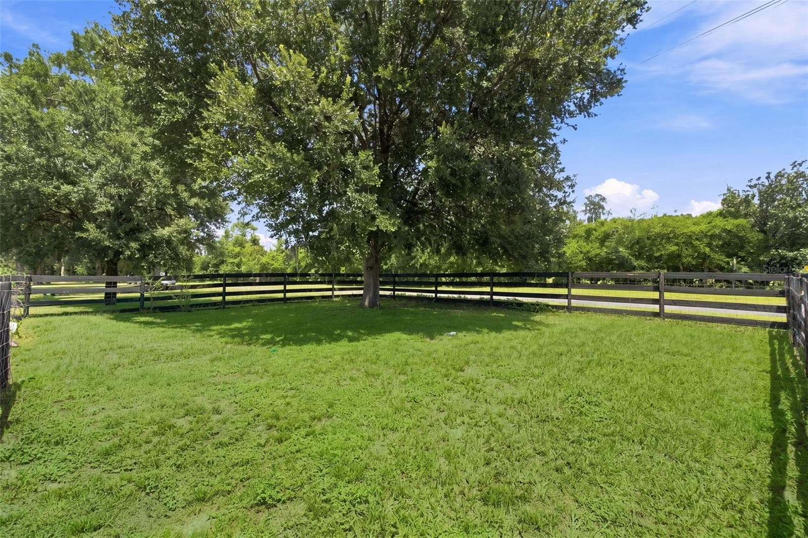 Single Family Residence at 23458 CROOM RD, BROOKSVILLE, photo 61 of 62