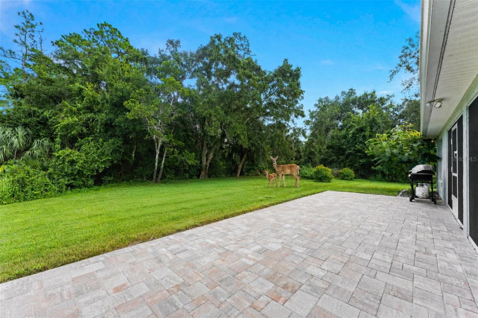 Pavered brick patio and visitors. - 846 MARLEY DR, PORT ORANGE