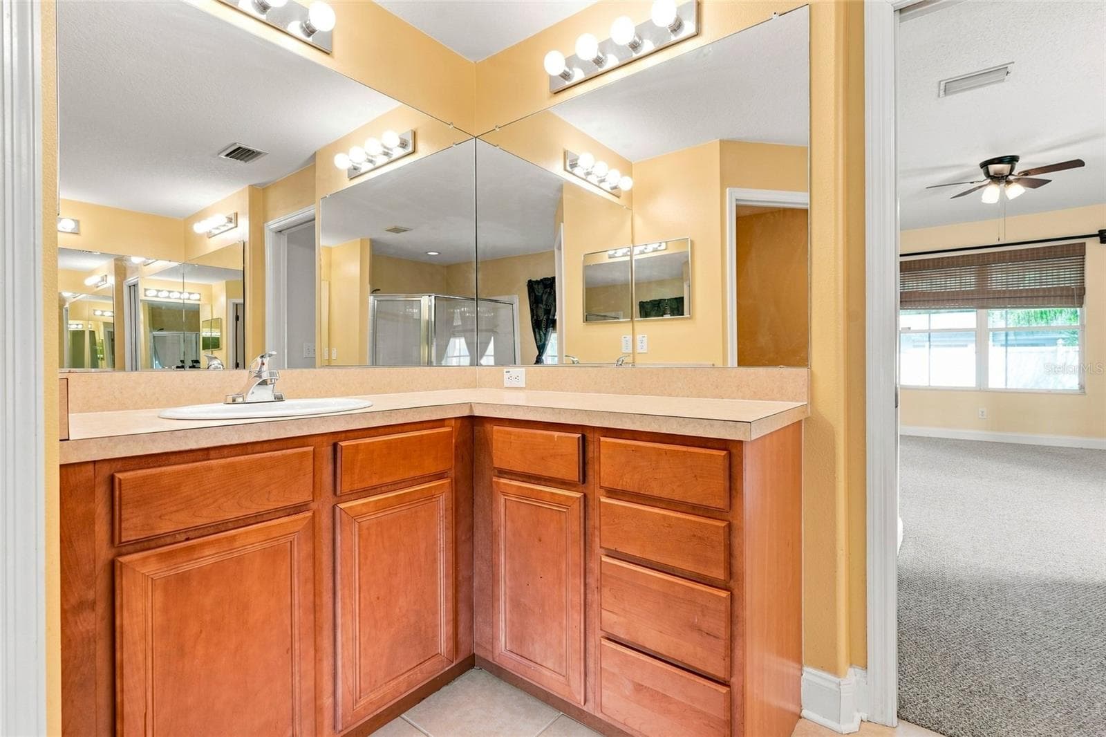 Primary Bathroom - 30501 IVERSON DR, WESLEY CHAPEL