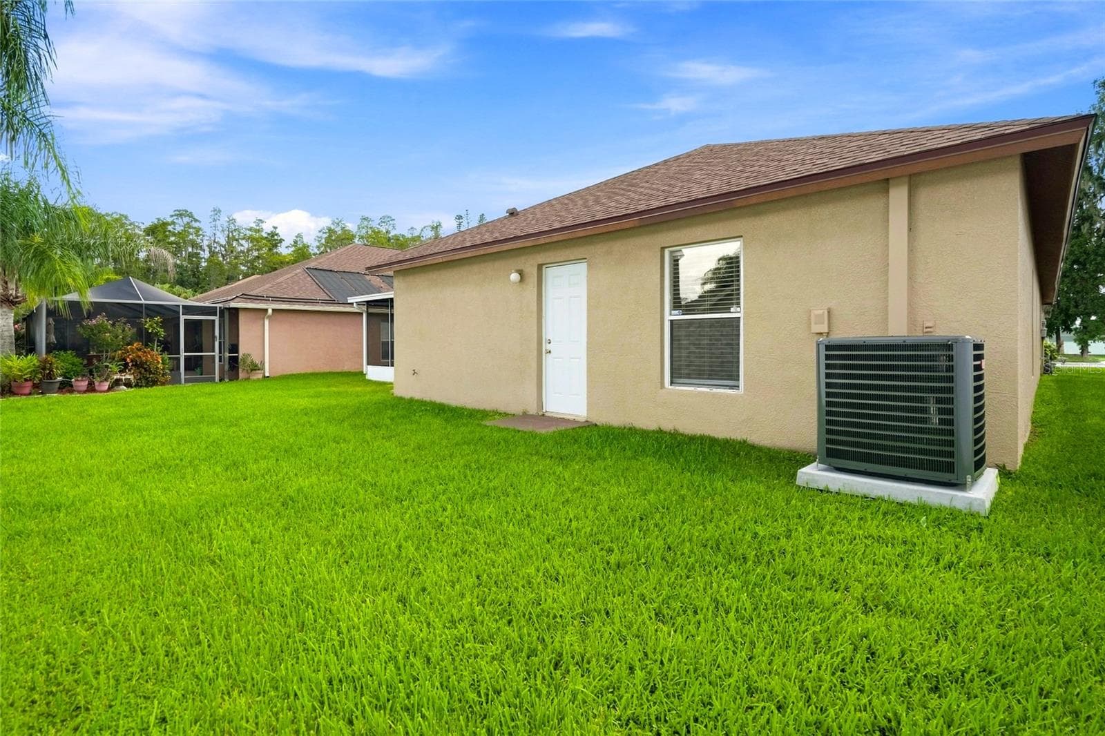 Backyard - 30501 IVERSON DR, WESLEY CHAPEL