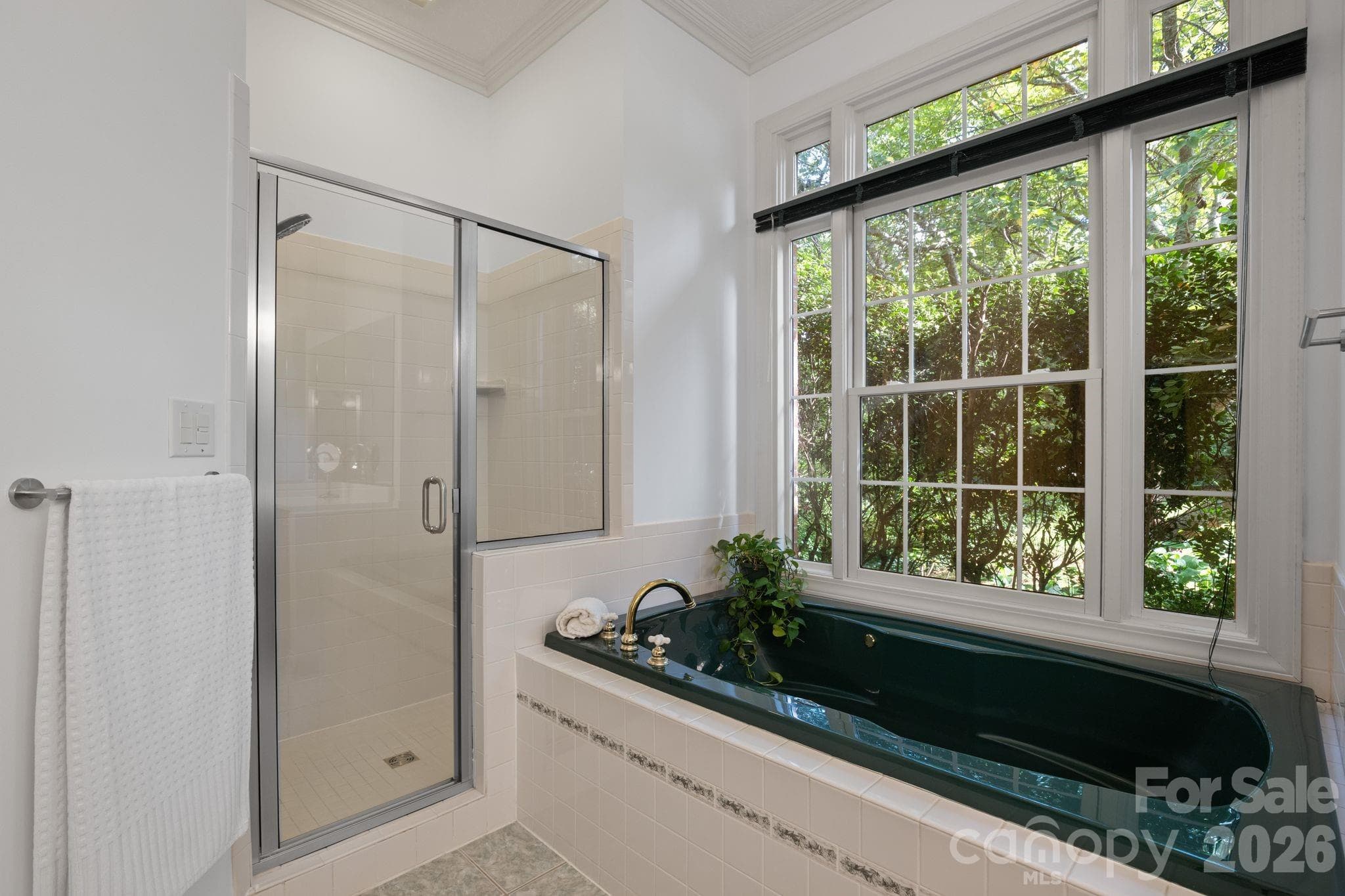 Main Level Primary Bathroom w/ Shower and Soaking Tub - 210 Clear Vista Circle, Asheville