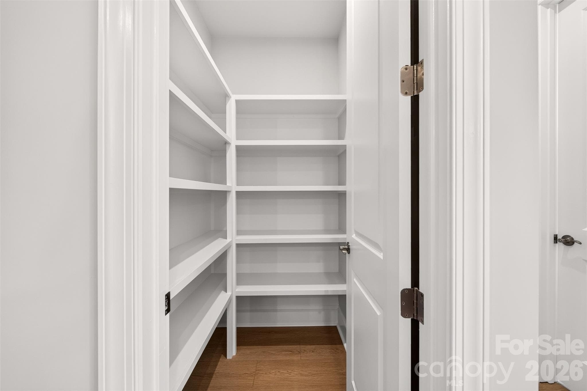 Walk-in Pantry with upgraded built-in shelving - 6008 Yellow Buckeye Drive, Charlotte