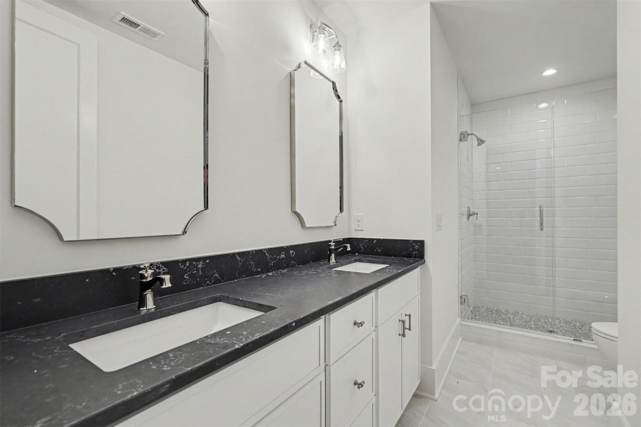 Basement Mother-in-Law Ensuite - 539 Mammoth Oaks Drive, Charlotte