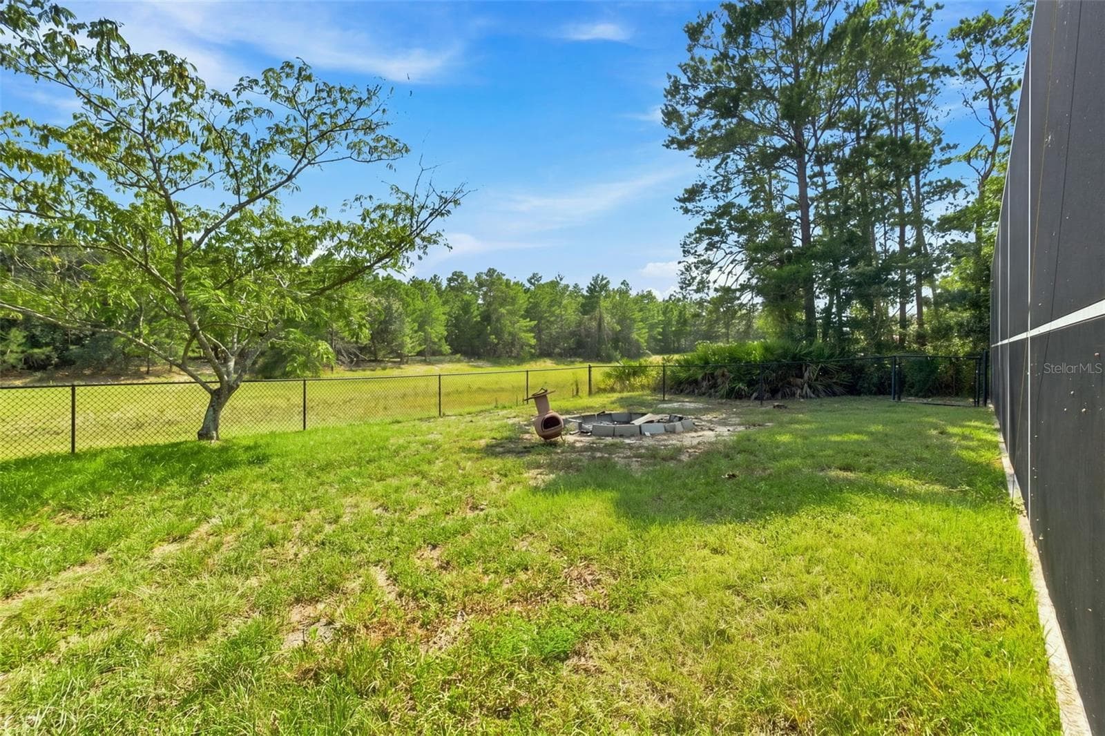 Backyard - 11200 WOODLAND WATERS BLVD, WEEKI WACHEE