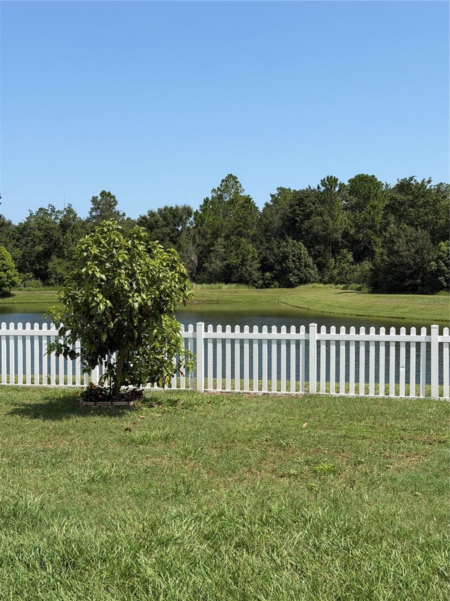 Back Yard - 36101 STABLE WILK AVE, ZEPHYRHILLS