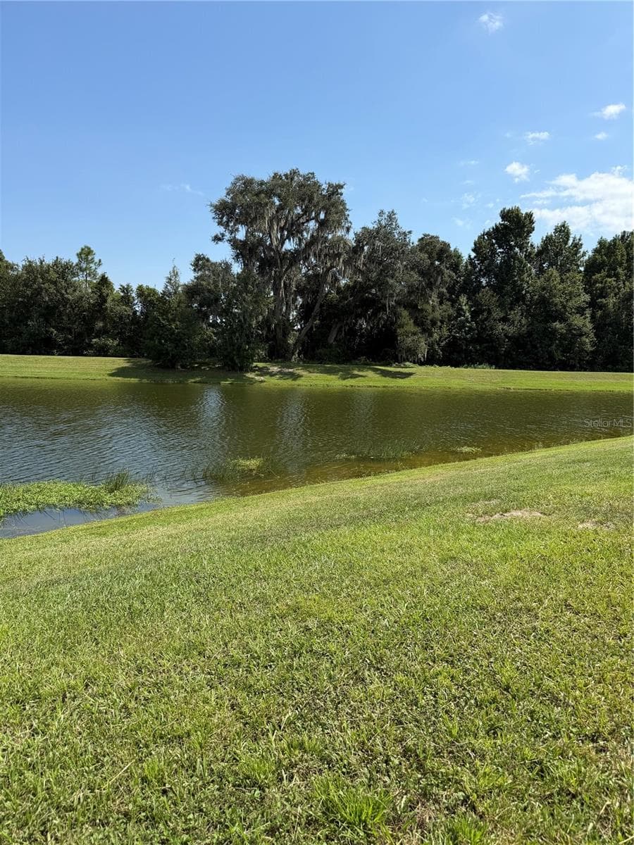 Pond View - 36101 STABLE WILK AVE, ZEPHYRHILLS